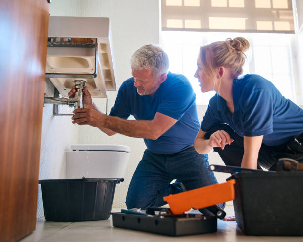 Best Drain Cleaning Services  in Forest Hills, PA
